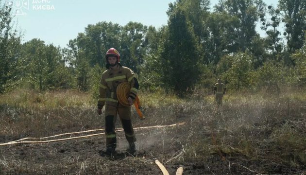 У Києві через падіння уламків дрона загорілася трава